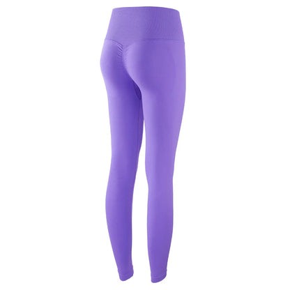 SculptRise Leggings