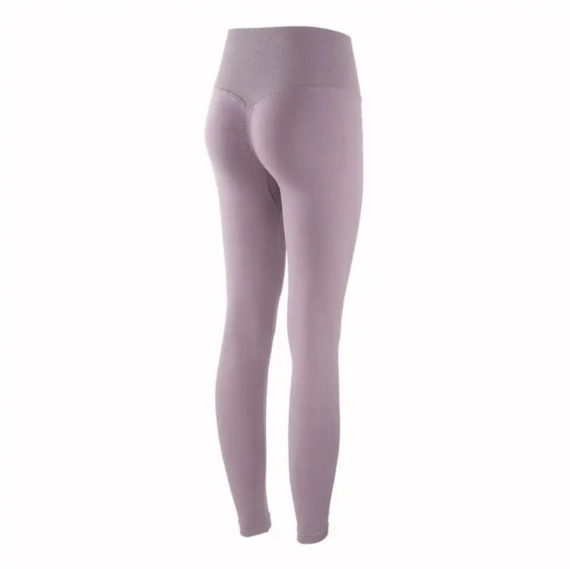 SculptRise Leggings