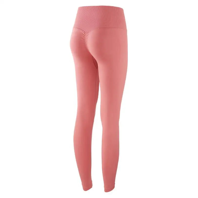 SculptRise Leggings