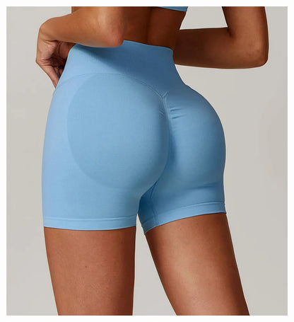 RibSculpt Shorts